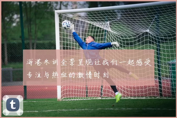 海港冬训全景呈现让我们一起感受专注与热血的激情时刻